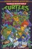 TEENAGE MUTANT NINJA TURTLES SATURDAY MORNING ADVENTURES VOL 02 TP [9798887240794]